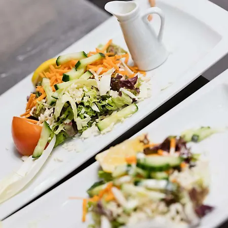 De Zeebries 호텔 미들케르케